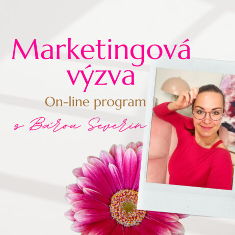 On-line program Marketingová výzva s Bárou Severin