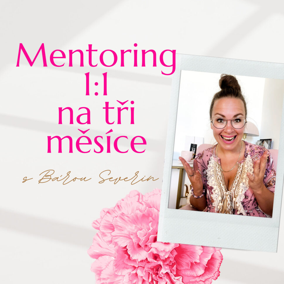 Mentoring na tři měsíce s Bárou Severin