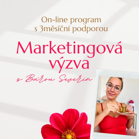 On-line program s 3měsíční podporou Marketingový výzva s Bárou Severin