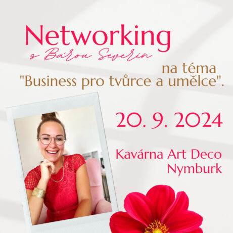 Networking s Bárou Severin – Mentorkou tvůrkyň