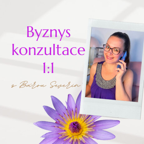 Byznys konzultace 1 na 1 s Bárou Severin